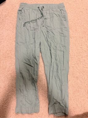 GAP Women’s Light Sage Green Drawstring Chinos